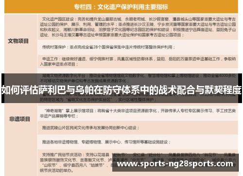 如何评估萨利巴与乌帕在防守体系中的战术配合与默契程度