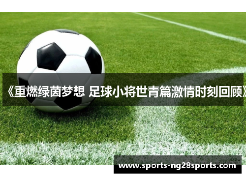 《重燃绿茵梦想 足球小将世青篇激情时刻回顾》