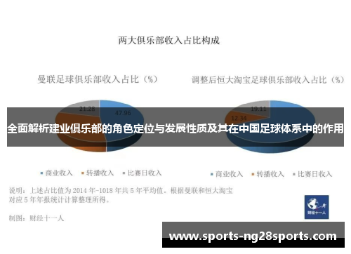 全面解析建业俱乐部的角色定位与发展性质及其在中国足球体系中的作用