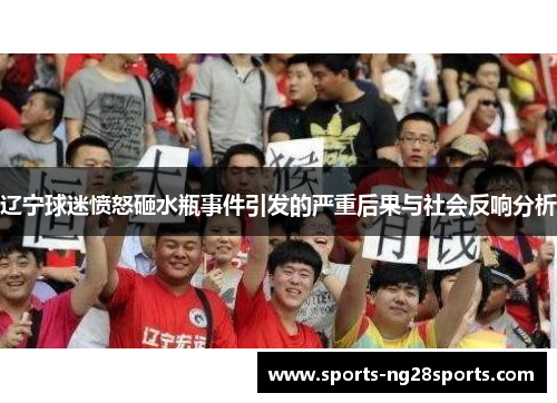 辽宁球迷愤怒砸水瓶事件引发的严重后果与社会反响分析