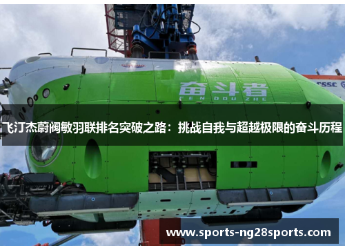飞汀杰蔚阀敏羽联排名突破之路：挑战自我与超越极限的奋斗历程