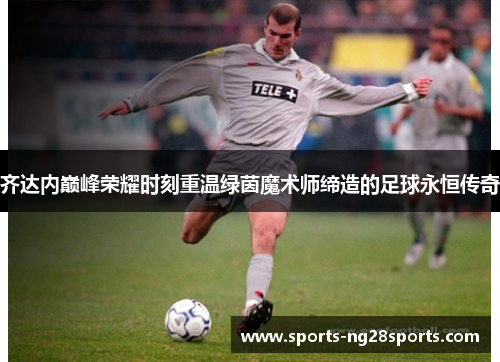齐达内巅峰荣耀时刻重温绿茵魔术师缔造的足球永恒传奇